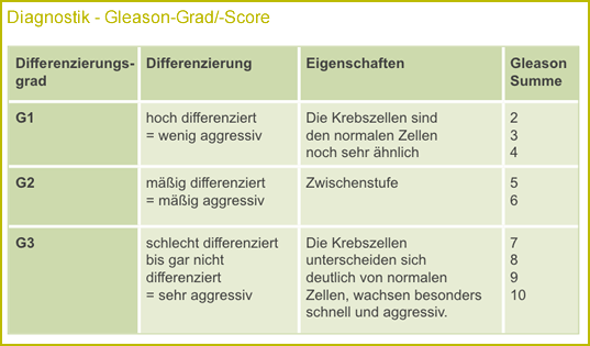 Diagnostik Gleason-Grad-Score 2
