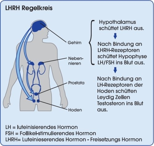 Das Geheimnis eines erfolgreichen anabole steroide bestellen